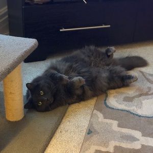 Meet your Posher, Joanna